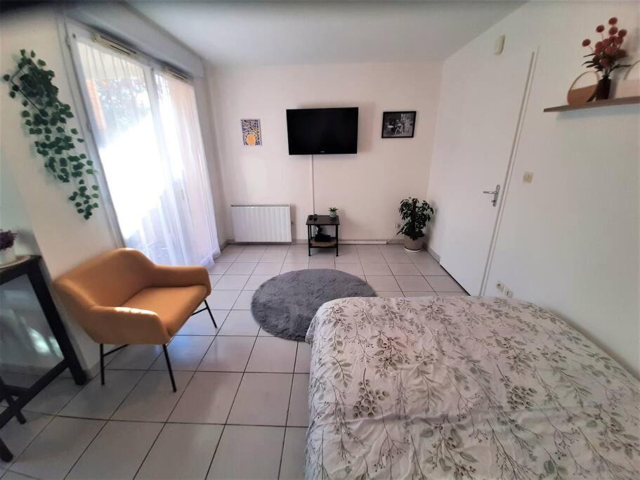Studio Charmant Et Moderne Grand Confort Тулуза Экстерьер фото