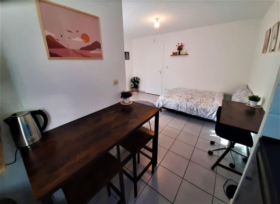 Studio Charmant Et Moderne Grand Confort Тулуза Экстерьер фото